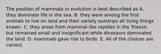 The position of mammals in evolution is best described as A. they dominate life in the sea. B. they were among the first animals to live on land and their variety outstrips all living things known. C. they arose from mammal-like reptiles in the Triassic but remained small and insignificant while dinosaurs dominated the land. D. mammals gave rise to birds. E. All of the choices are correct.