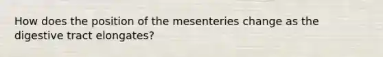 How does the position of the mesenteries change as the digestive tract elongates?