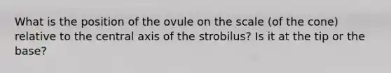 What is the position of the ovule on the scale (of the cone) relative to the central axis of the strobilus? Is it at the tip or the base?