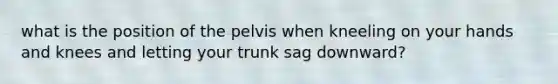 what is the position of the pelvis when kneeling on your hands and knees and letting your trunk sag downward?