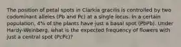 The position of petal spots in Clarkia gracilis is controlled by two codominant alleles (Pb and Pc) at a single locus. In a certain population, 4% of the plants have just a basal spot (PbPb). Under Hardy-Weinberg, what is the expected frequency of flowers with just a central spot (PcPc)?