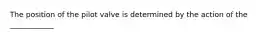 The position of the pilot valve is determined by the action of the ____________