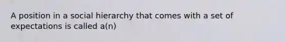 A position in a social hierarchy that comes with a set of expectations is called a(n)