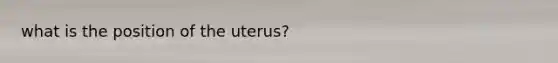 what is the position of the uterus?