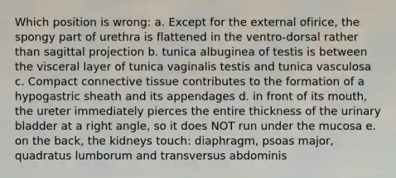 Which position is wrong: a. Except for the external ofirice, the spongy part of urethra is flattened in the ventro-dorsal rather than sagittal projection b. tunica albuginea of testis is between the visceral layer of tunica vaginalis testis and tunica vasculosa c. Compact connective tissue contributes to the formation of a hypogastric sheath and its appendages d. in front of its mouth, the ureter immediately pierces the entire thickness of the urinary bladder at a right angle, so it does NOT run under the mucosa e. on the back, the kidneys touch: diaphragm, psoas major, quadratus lumborum and transversus abdominis