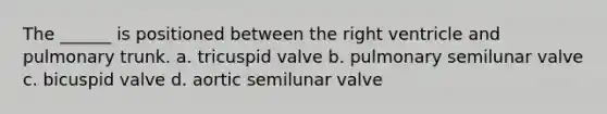 The ______ is positioned between the right ventricle and pulmonary trunk. a. tricuspid valve b. pulmonary semilunar valve c. bicuspid valve d. aortic semilunar valve