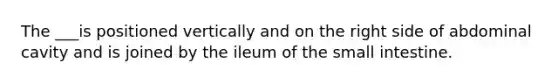 The ___is positioned vertically and on the right side of abdominal cavity and is joined by the ileum of the small intestine.