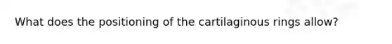 What does the positioning of the cartilaginous rings allow?