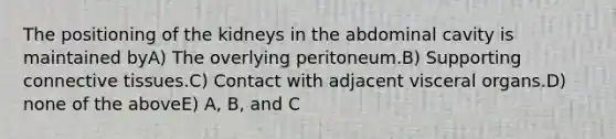 The positioning of the kidneys in the abdominal cavity is maintained byA) The overlying peritoneum.B) Supporting connective tissues.C) Contact with adjacent visceral organs.D) none of the aboveE) A, B, and C