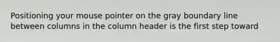 Positioning your mouse pointer on the gray boundary line between columns in the column header is the first step toward