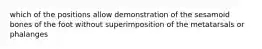 which of the positions allow demonstration of the sesamoid bones of the foot without superimposition of the metatarsals or phalanges