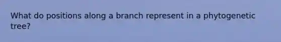 What do positions along a branch represent in a phytogenetic tree?