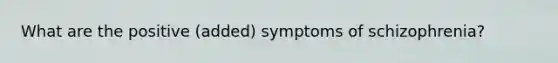 What are the positive (added) symptoms of schizophrenia?