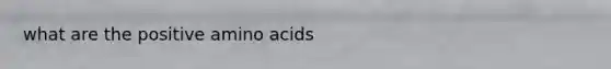 what are the positive <a href='https://www.questionai.com/knowledge/k9gb720LCl-amino-acids' class='anchor-knowledge'>amino acids</a>