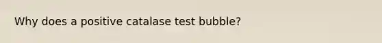 Why does a positive catalase test bubble?