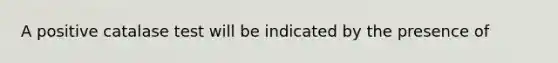 A positive catalase test will be indicated by the presence of