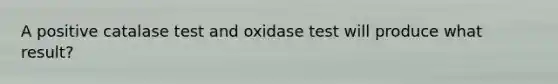 A positive catalase test and oxidase test will produce what result?