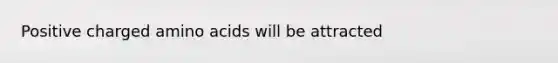 Positive charged amino acids will be attracted
