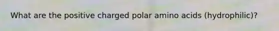 What are the positive charged polar amino acids (hydrophilic)?