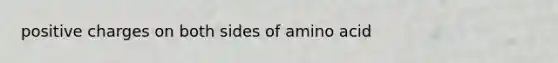 positive charges on both sides of amino acid