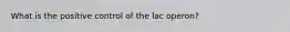 What is the positive control of the lac operon?