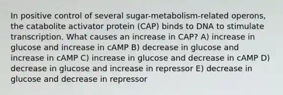 In positive control of several sugar-metabolism-related operons, the catabolite activator protein (CAP) binds to DNA to stimulate transcription. What causes an increase in CAP? A) increase in glucose and increase in cAMP B) decrease in glucose and increase in cAMP C) increase in glucose and decrease in cAMP D) decrease in glucose and increase in repressor E) decrease in glucose and decrease in repressor