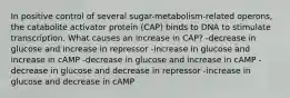 In positive control of several sugar-metabolism-related operons, the catabolite activator protein (CAP) binds to DNA to stimulate transcription. What causes an increase in CAP? -decrease in glucose and increase in repressor -increase in glucose and increase in cAMP -decrease in glucose and increase in cAMP -decrease in glucose and decrease in repressor -increase in glucose and decrease in cAMP