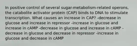 In positive control of several sugar-metabolism-related operons, the catabolite activator protein (CAP) binds to DNA to stimulate transcription. What causes an increase in CAP? -decrease in glucose and increase in repressor -increase in glucose and increase in cAMP -decrease in glucose and increase in cAMP -decrease in glucose and decrease in repressor -increase in glucose and decrease in cAMP