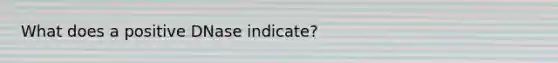 What does a positive DNase indicate?