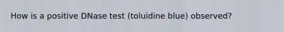 How is a positive DNase test (toluidine blue) observed?