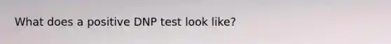 What does a positive DNP test look like?