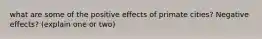 what are some of the positive effects of primate cities? Negative effects? (explain one or two)