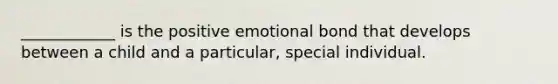 ____________ is the positive emotional bond that develops between a child and a particular, special individual.
