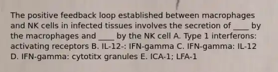 The positive feedback loop established between macrophages and NK cells in infected tissues involves the secretion of ____ by the macrophages and ____ by the NK cell A. Type 1 interferons: activating receptors B. IL-12-: IFN-gamma C. IFN-gamma: IL-12 D. IFN-gamma: cytotitx granules E. ICA-1; LFA-1