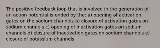 The positive feedback loop that is involved in the generation of an action potential is ended by the: a) opening of activation gates on the sodium channels b) closure of activation gates on sodium channels c) opening of inactivation gates on sodium channels d) closure of inactivation gates on sodium channels e) closure of potassium channels