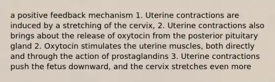 a positive feedback mechanism 1. Uterine contractions are induced by a stretching of the cervix, 2. Uterine contractions also brings about the release of oxytocin from the posterior pituitary gland 2. Oxytocin stimulates the uterine muscles, both directly and through the action of prostaglandins 3. Uterine contractions push the fetus downward, and the cervix stretches even more