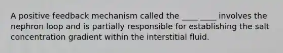 A positive feedback mechanism called the ____ ____ involves the nephron loop and is partially responsible for establishing the salt concentration gradient within the interstitial fluid.