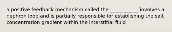 a positive feedback mechanism called the _____ ______ involves a nephron loop and is partially responsible for establishing the salt concentration gradient within the interstitial fluid