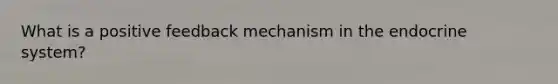 What is a positive feedback mechanism in the endocrine system?