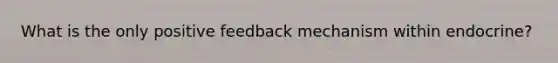 What is the only positive feedback mechanism within endocrine?