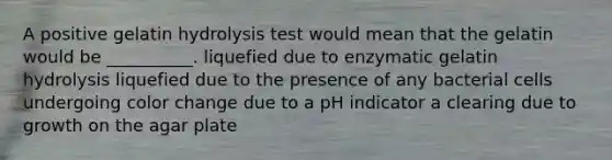 A positive gelatin hydrolysis test would mean that the gelatin would be __________. liquefied due to enzymatic gelatin hydrolysis liquefied due to the presence of any bacterial cells undergoing color change due to a pH indicator a clearing due to growth on the agar plate