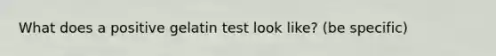 What does a positive gelatin test look like? (be specific)