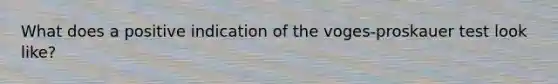 What does a positive indication of the voges-proskauer test look like?