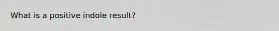 What is a positive indole result?