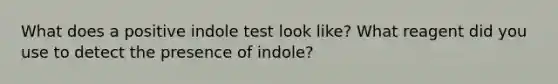 What does a positive indole test look like? What reagent did you use to detect the presence of indole?