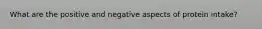 What are the positive and negative aspects of protein intake?