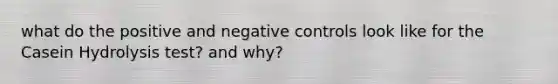 what do the positive and negative controls look like for the Casein Hydrolysis test? and why?