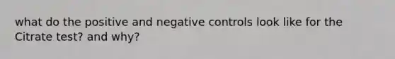 what do the positive and negative controls look like for the Citrate test? and why?