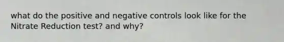 what do the positive and negative controls look like for the Nitrate Reduction test? and why?