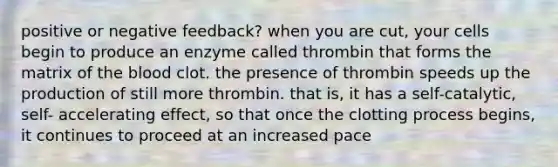 positive or negative feedback? when you are cut, your cells begin to produce an enzyme called thrombin that forms the matrix of <a href='https://www.questionai.com/knowledge/k7oXMfj7lk-the-blood' class='anchor-knowledge'>the blood</a> clot. the presence of thrombin speeds up the production of still more thrombin. that is, it has a self-catalytic, self- accelerating effect, so that once the clotting process begins, it continues to proceed at an increased pace